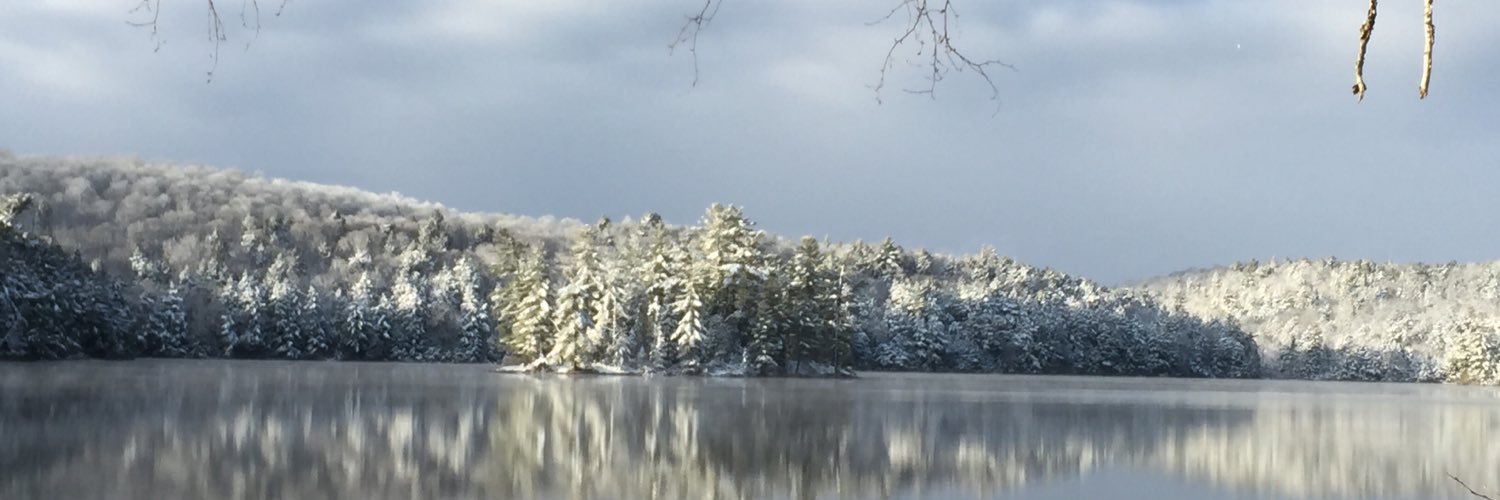 CamilleriWanda's profile banner image