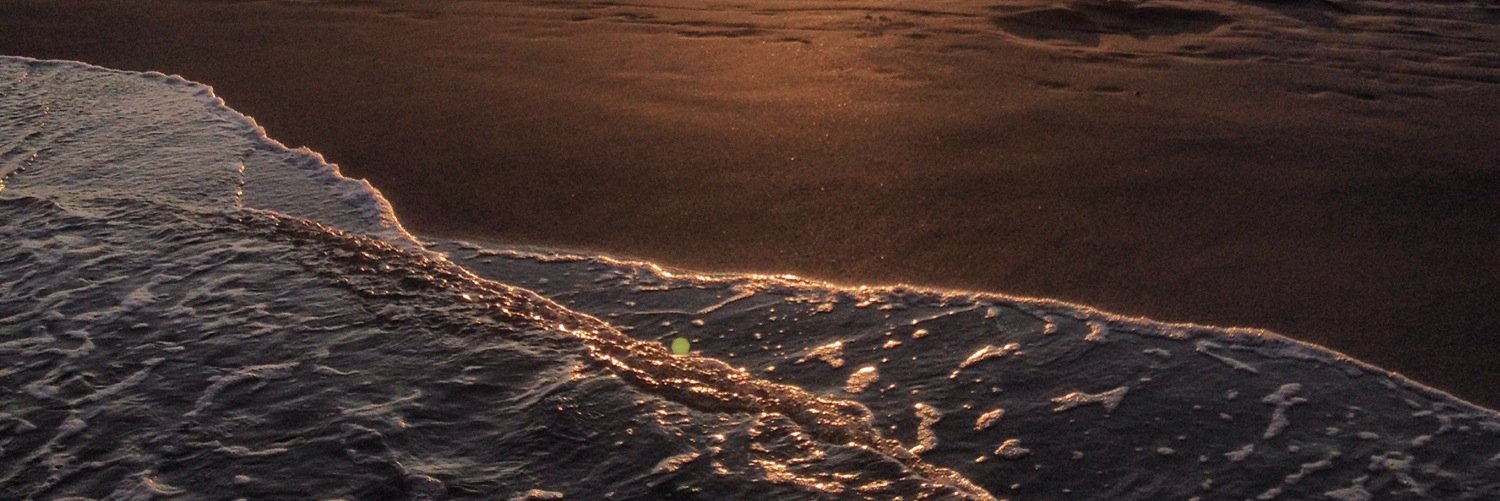 AlyssaPassero's profile banner image
