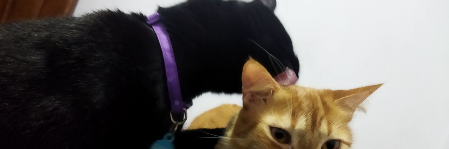 AnaMariaZuletaM's profile banner image