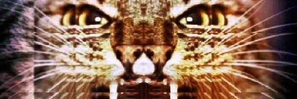 1312 banner