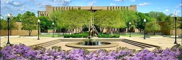 sfa_20 Profile Banner