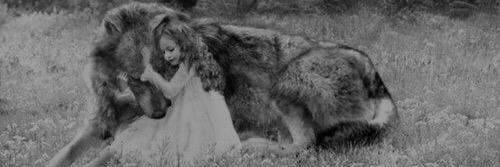 MEMO_503's profile banner image