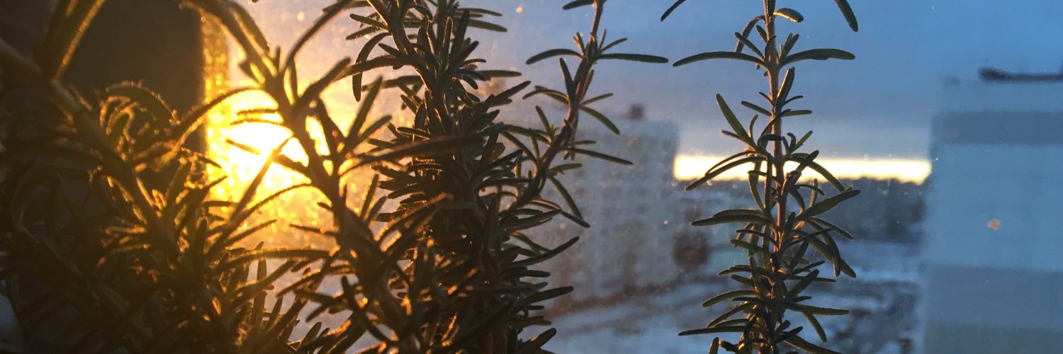 saphonja's profile banner image