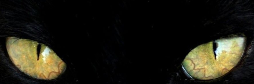 Jarzo95's profile banner image