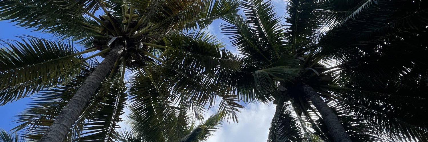 rxeaa's profile banner image