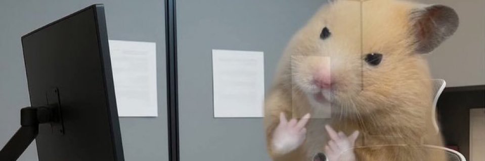 limapaulow's profile banner image