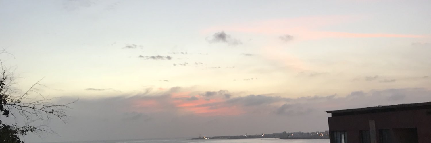 ToobaFal's profile banner image