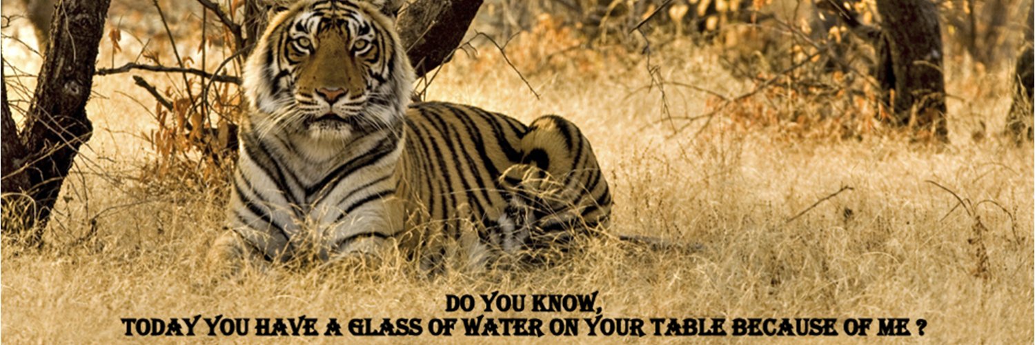 HarishKiddy's profile banner image