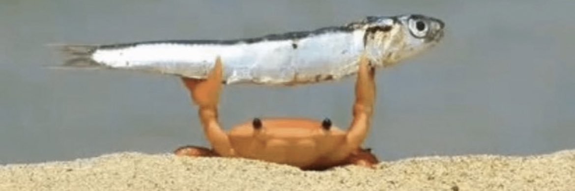 ħîķīx❕(0 Co-Morbidities) banner