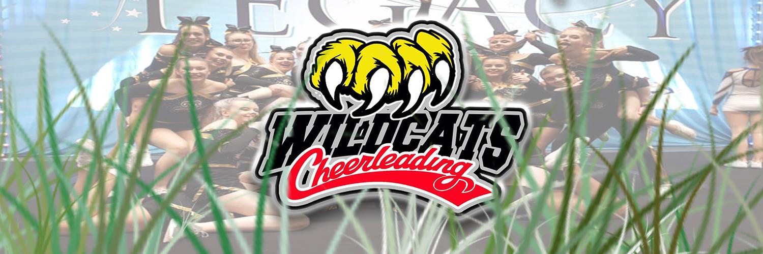 WildcatsTees's profile banner image
