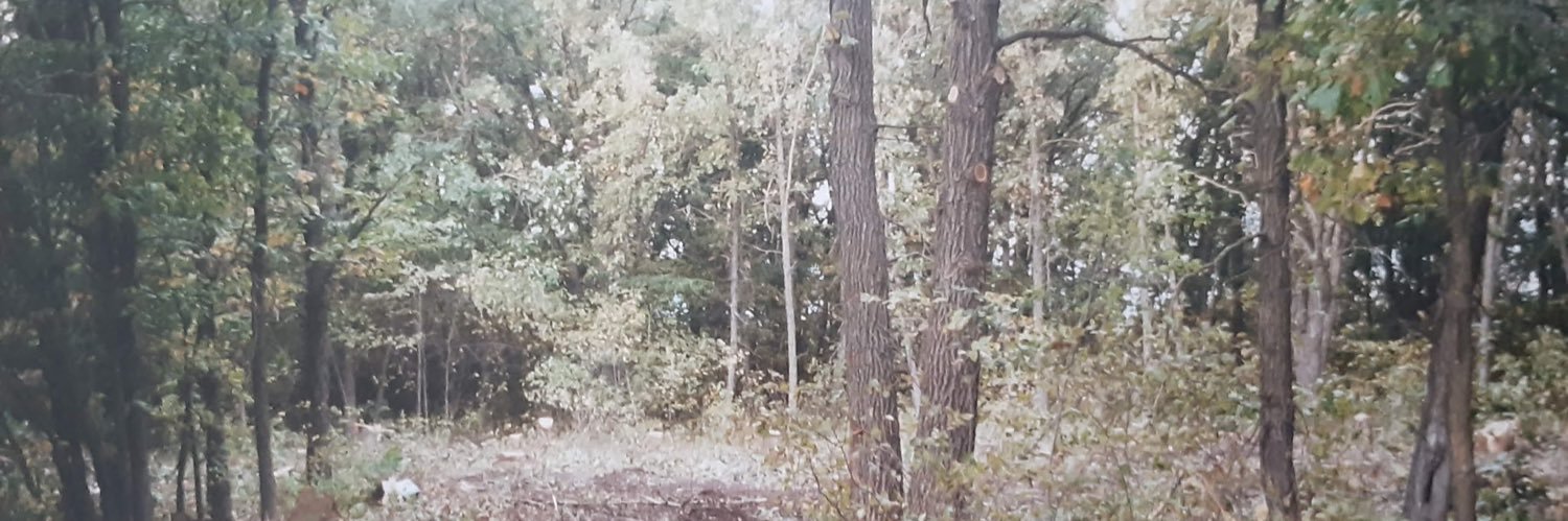 _reesemichael's profile banner image