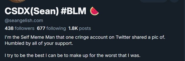 Find me on 🟦☁️ @seangelish.com 🍉 #BLM banner