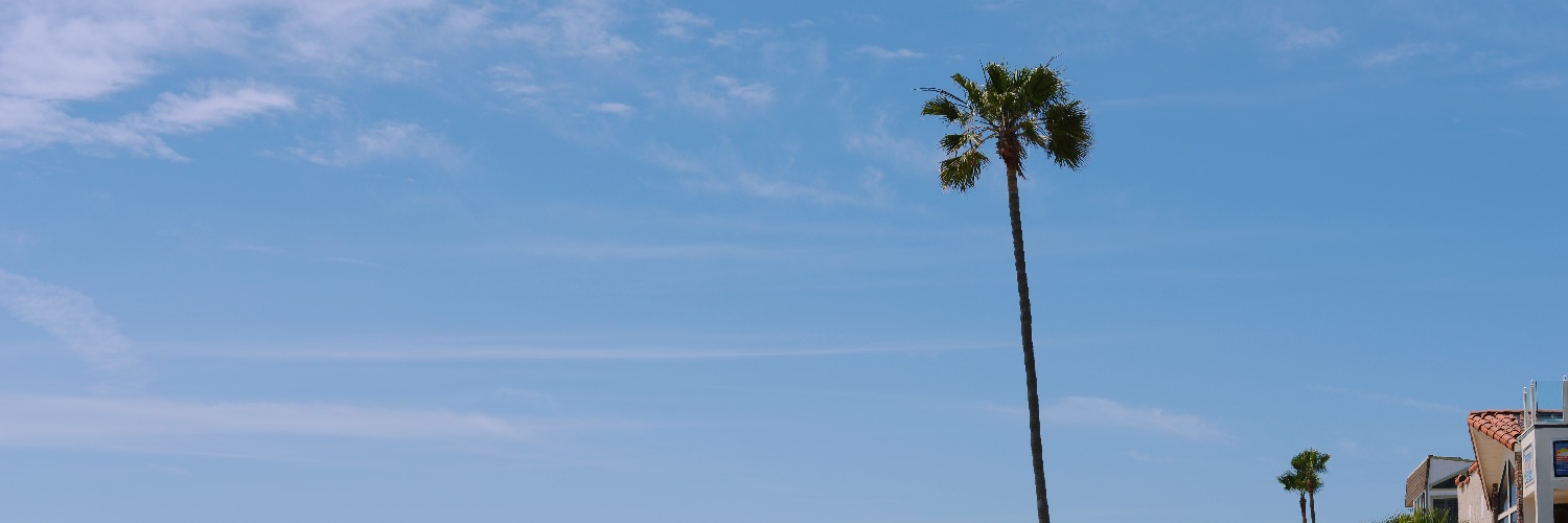 PaulLin_720's profile banner image