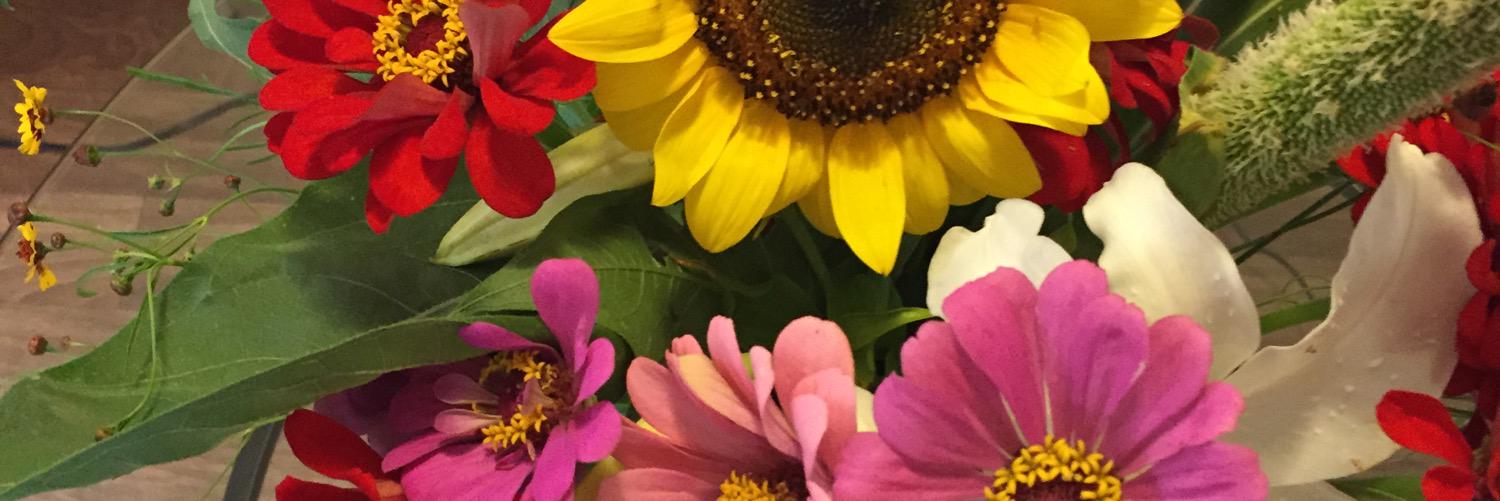What_the_Mom's profile banner image