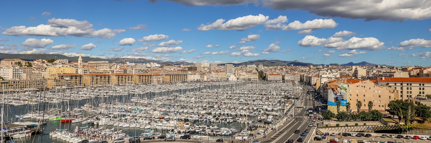 Sophie Roques banner