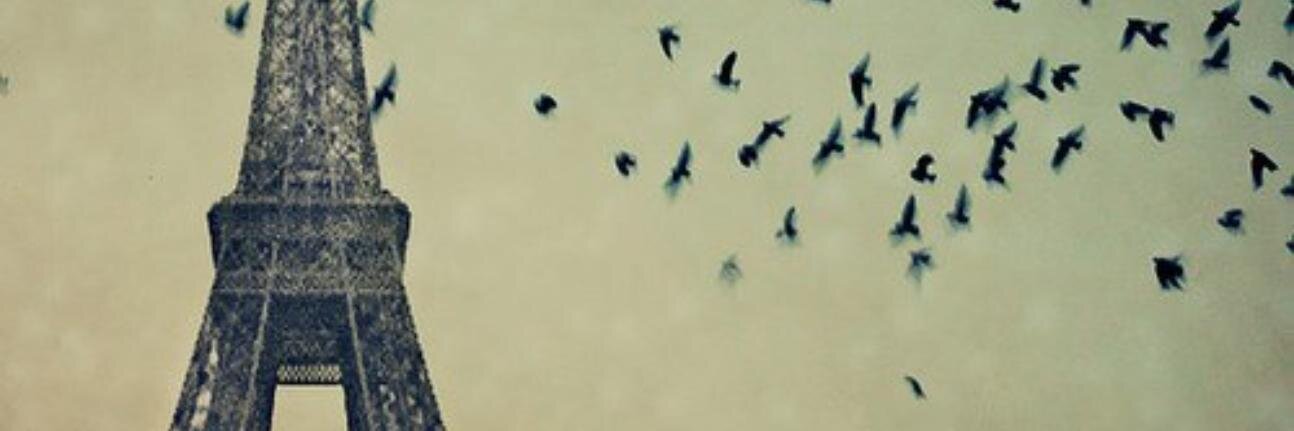Wander_Nigga's profile banner image