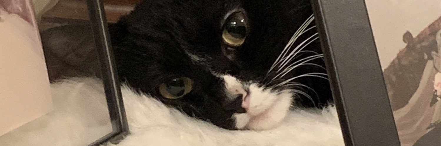 ThatShurooq's profile banner image