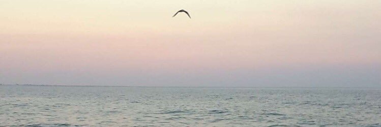 AustinVincent's profile banner image