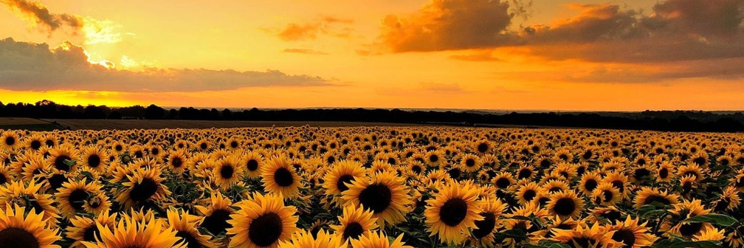 Awaz___A's profile banner image