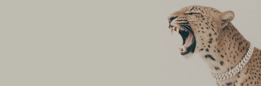 alanoud_ali's profile banner image