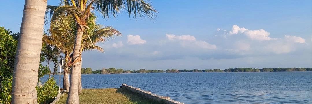 Manuel Nuyerrrrrrrrrr banner