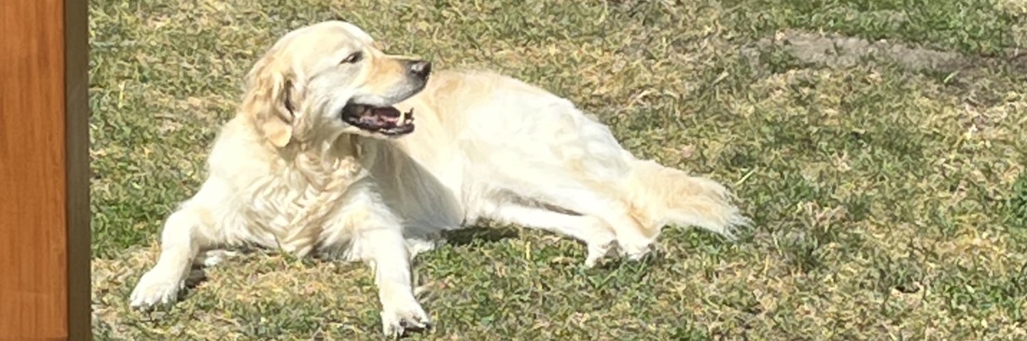 paulivers's profile banner image