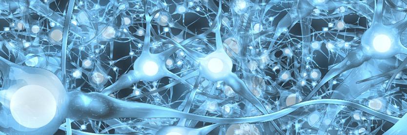 NeuroQuestUS's profile banner image