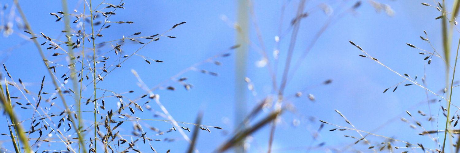 ukinusi's profile banner image