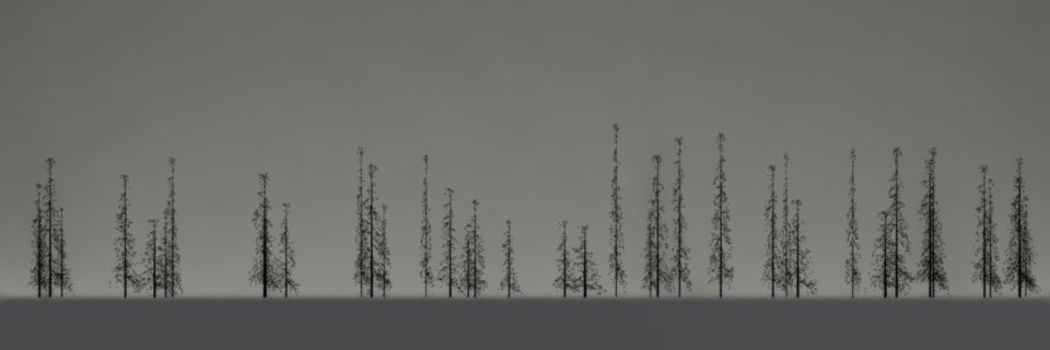 campergeneral's profile banner image