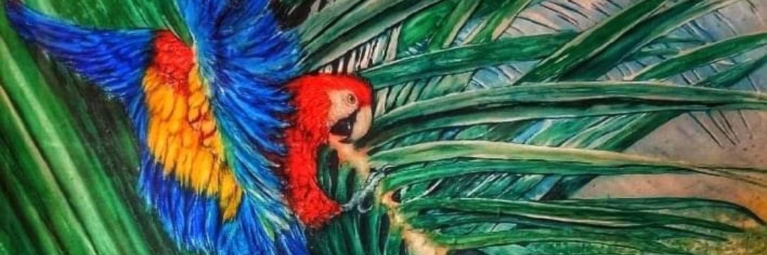 Bob Nordberg AKA Bird Man Bob banner