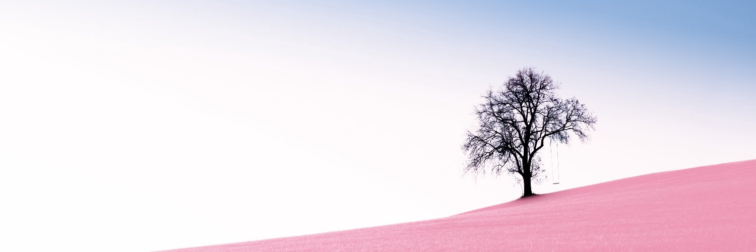 robDERRT's profile banner image