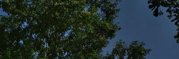 hisyuee_'s profile banner image