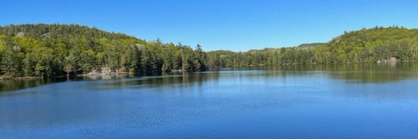 PaulHDavidson Profile Banner