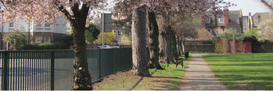 DundonaldWard's profile banner image