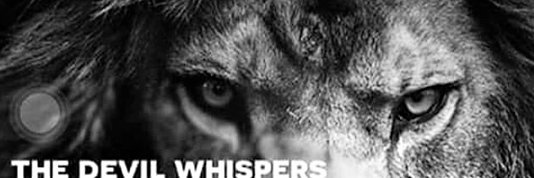 barbdavis666's profile banner image