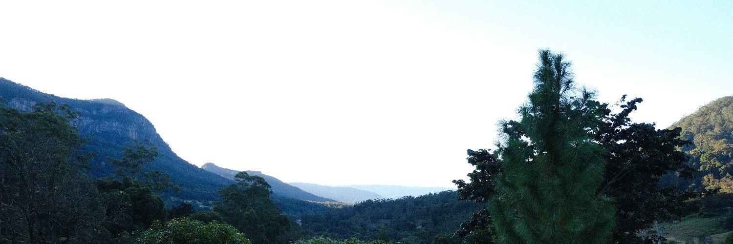 RoanPsyko's profile banner image
