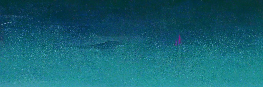 mr_jezy's profile banner image