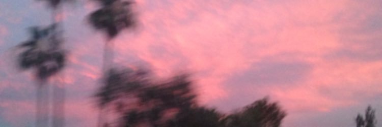 meeghii's profile banner image