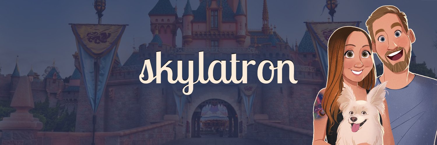 skylatron's profile banner image