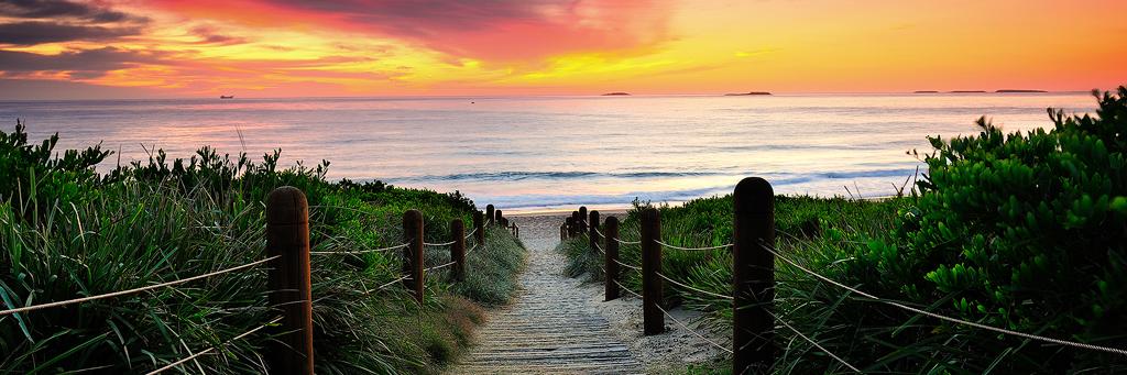 Courtney Rhys Ward banner