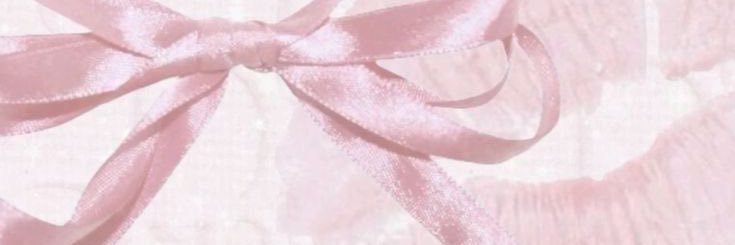 dhi♡.⋆｡𖦹 °˖ banner