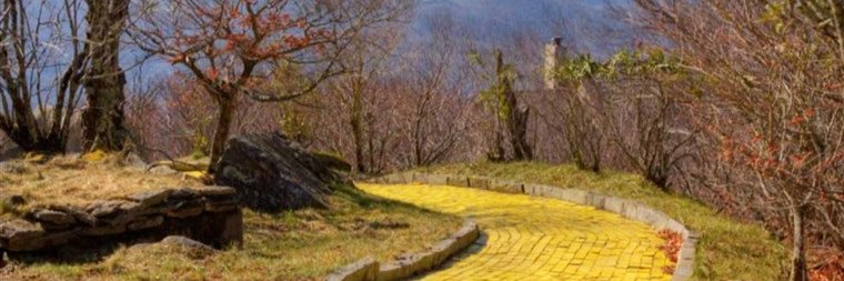 YellowBrickRd__'s profile banner image