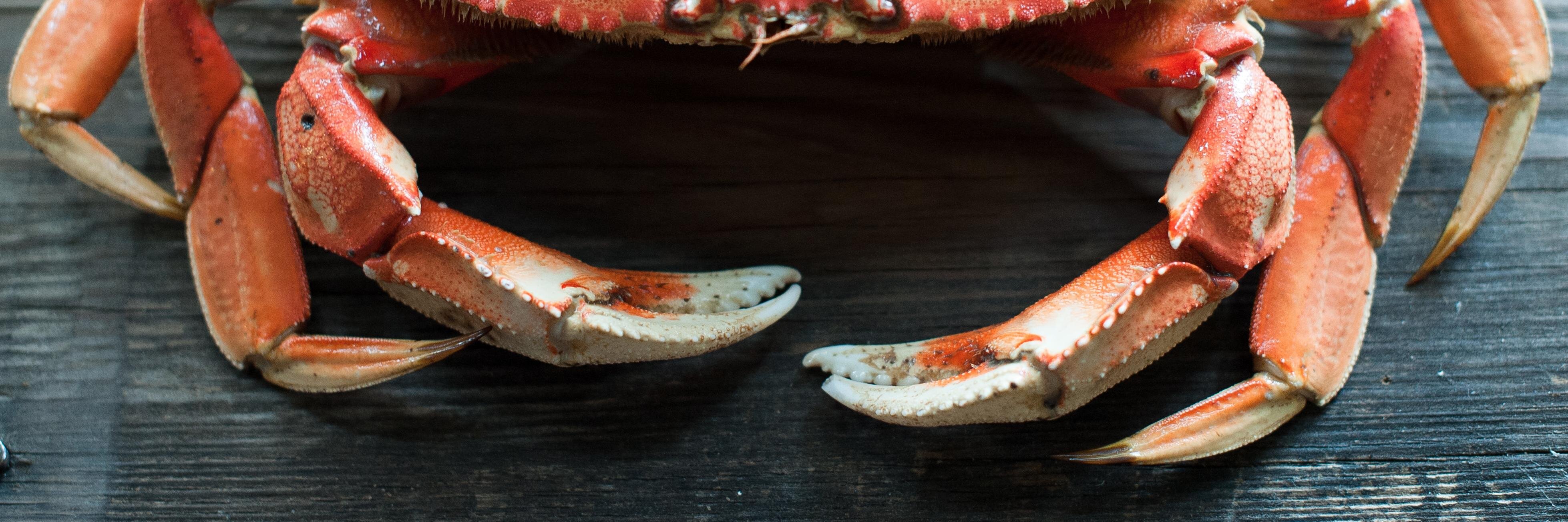 Jax Fish House banner