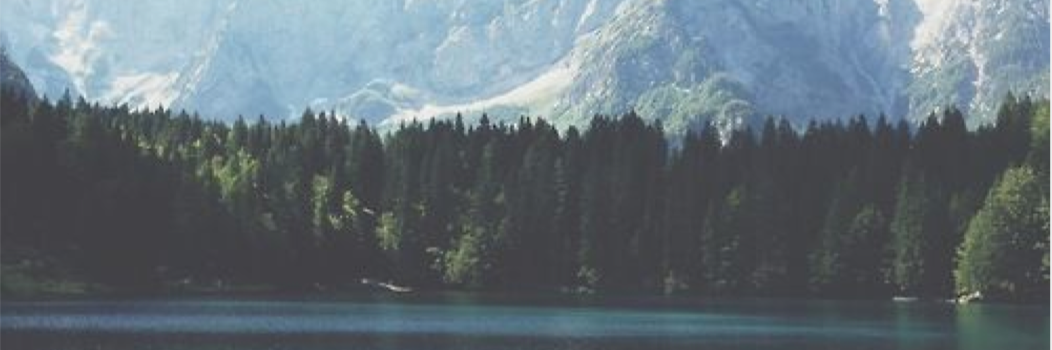 amandareeves_'s profile banner image