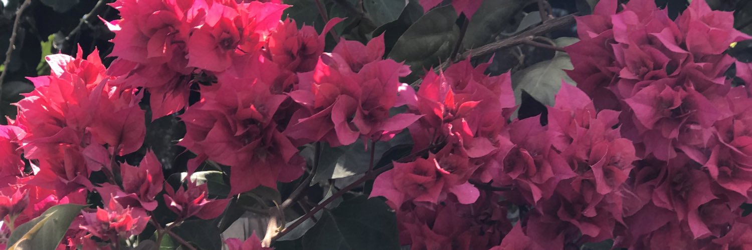 elsafatur28's profile banner image