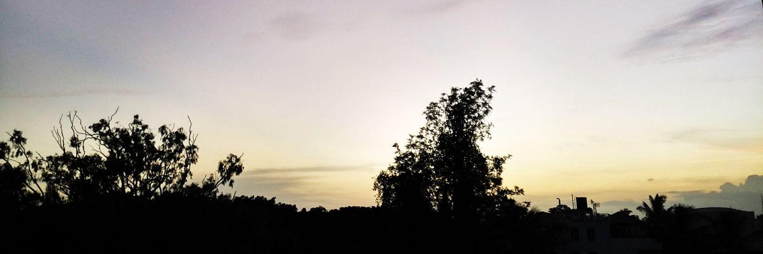 Pkapsime's profile banner image