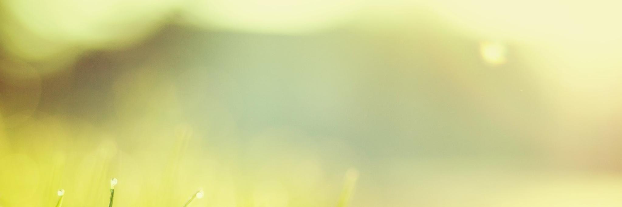 Jon_Ge's profile banner image