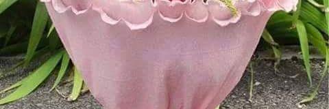 ffwfw6022's profile banner image