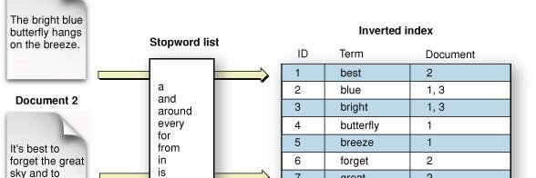 Milad Shokouhi banner