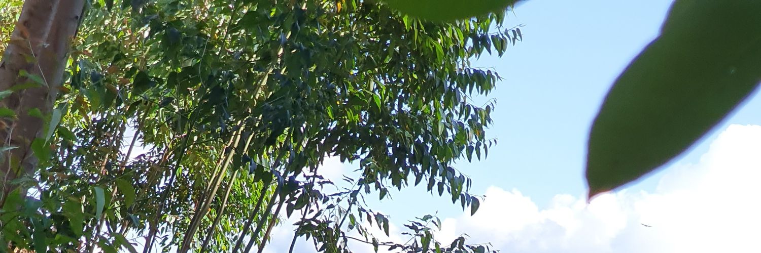 pnjaga's profile banner image